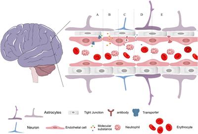 Frontiers | Recent Progress Of Nanomedicine In The Treatment Of ...